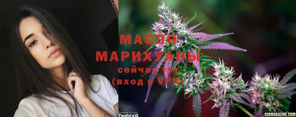 Альфа ПВП Лагань