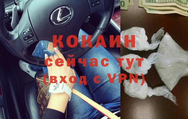мяу мяу мука Лабытнанги