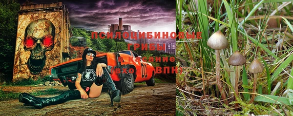 Альфа ПВП Лагань