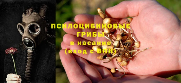 сатива Ладушкин