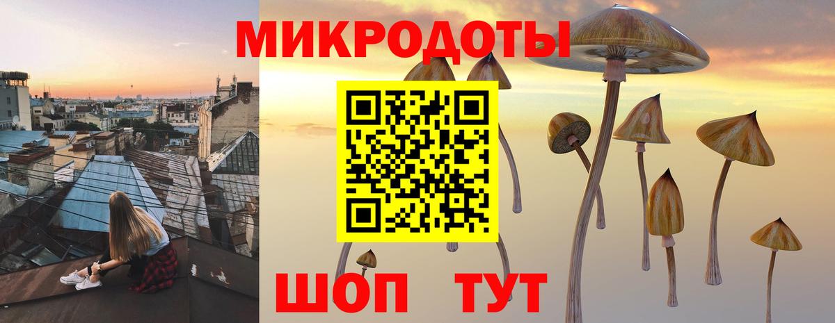 Новозыбков  Псилоцибиновые грибы мицелий  Вход с VPN 